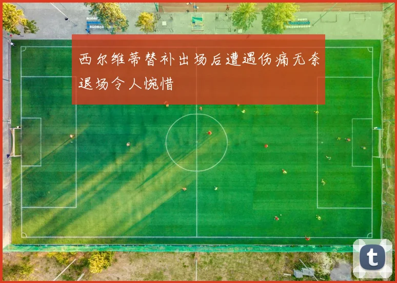 西尔维蒂替补出场后遭遇伤痛无奈退场令人惋惜