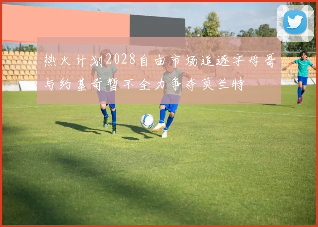 热火计划2028自由市场追逐字母哥与约基奇暂不全力争夺莫兰特